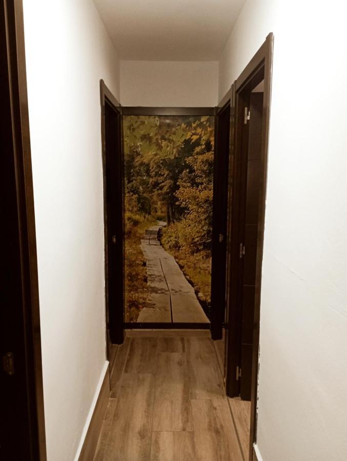 Precioso Apartamento 3 Habitaciones. Con Patio. Camas Exterior photo